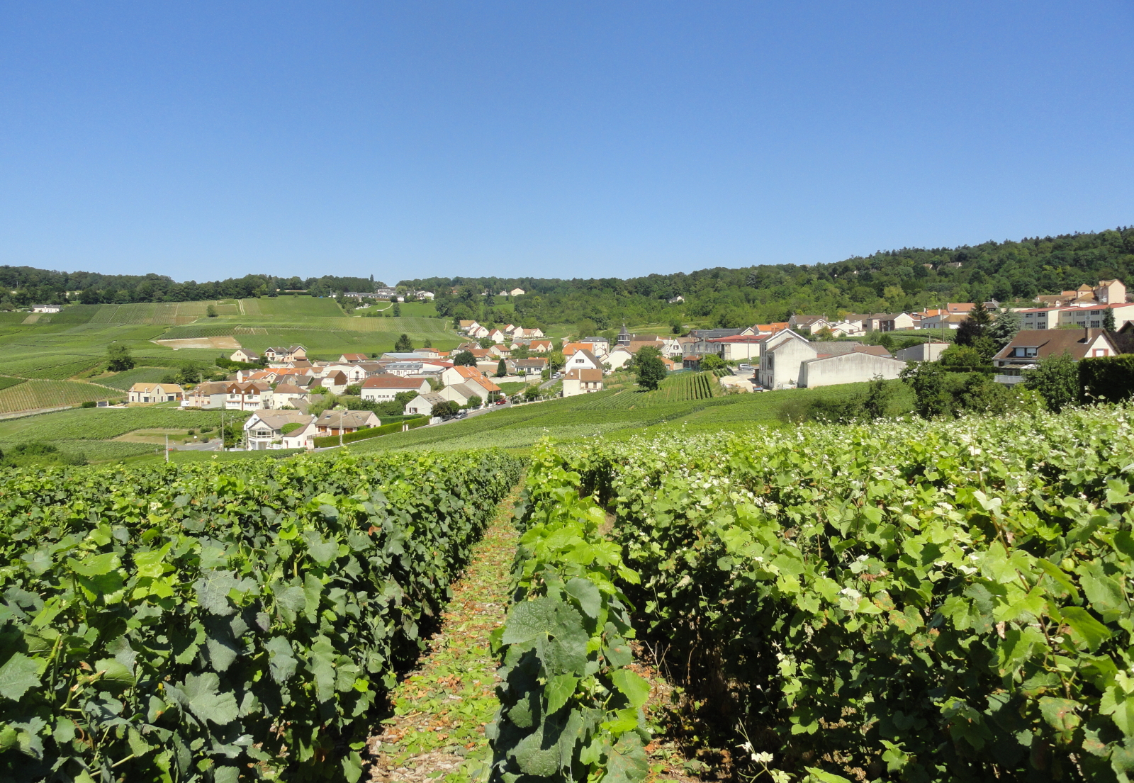 autreau.jpg